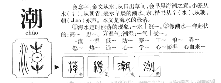 {捕魚機}(关于潮流的作文500字)