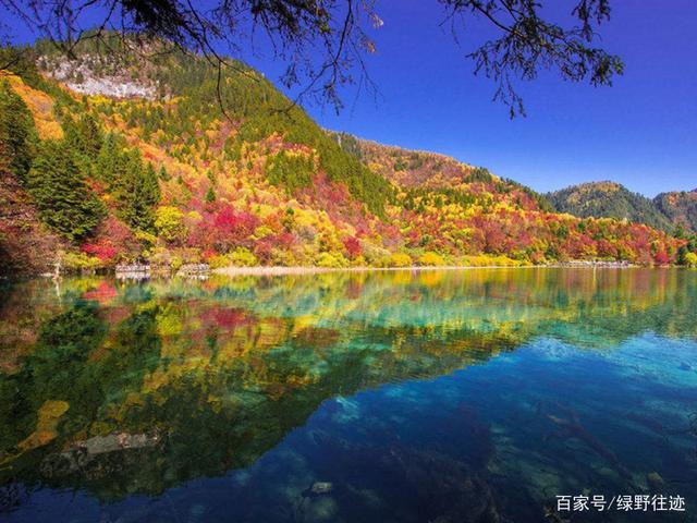 {網上賭場}(四川九寨沟旅游景点大全)